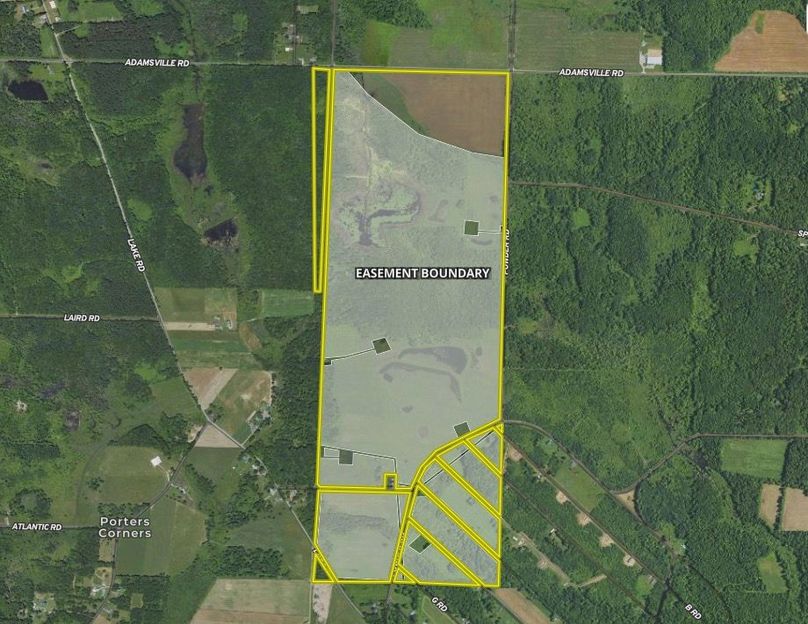 Screen Shot 2023-11-01 at 12.22.20 PM