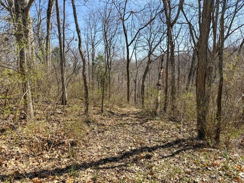 Fleming Petry 120-057