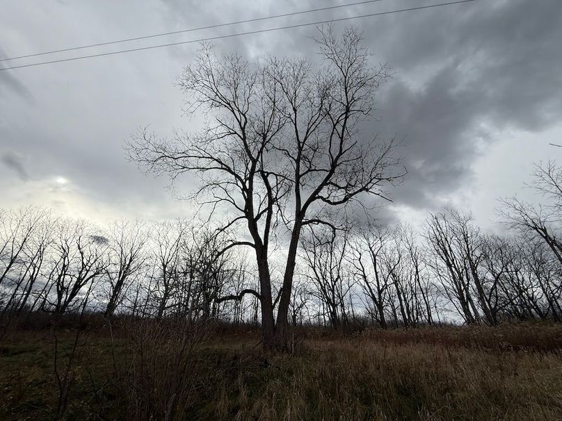 Tompkins_5.12_Galarza Photo 11