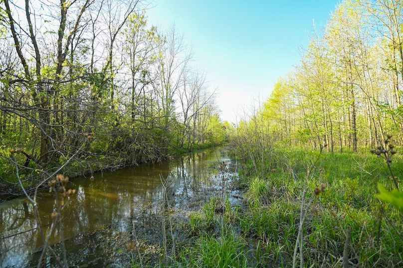 vandalia 450 (2)-3006