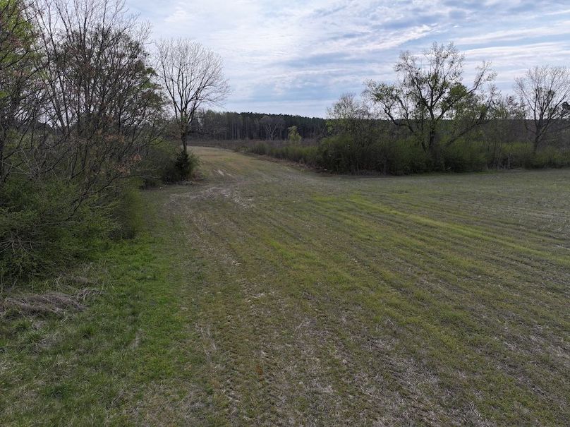 DJI_20260303065613_0606_D