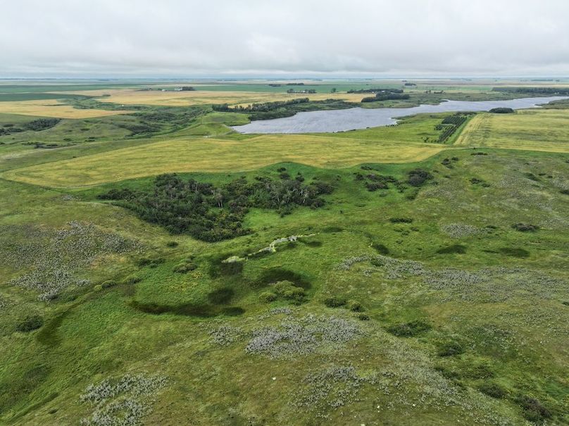 DJI_20250704140957_0621_D