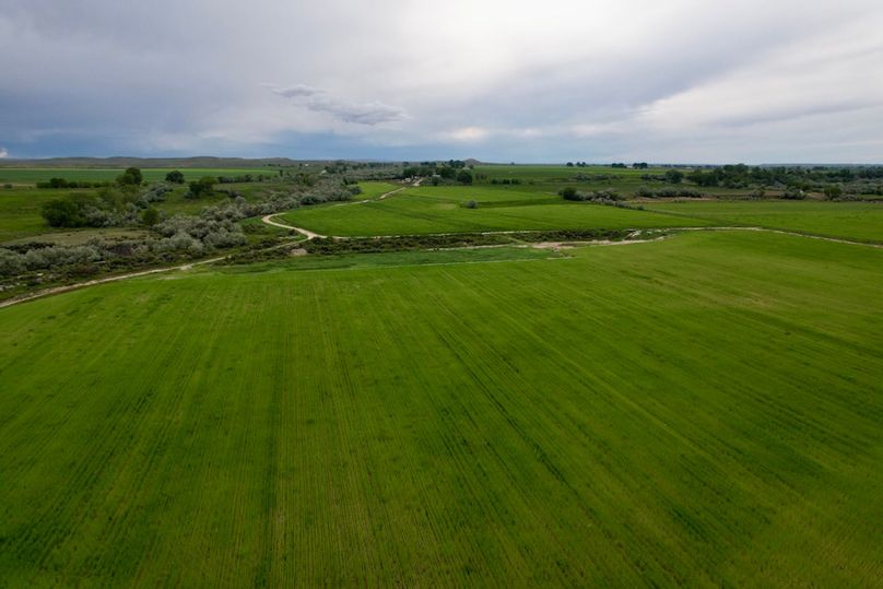 14B584BE-576A-4575-A262-D3E7A71AFBA7_1_105_c