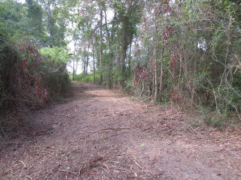 479B7588-B5B1-4A52-AF67-13BCFEF42177