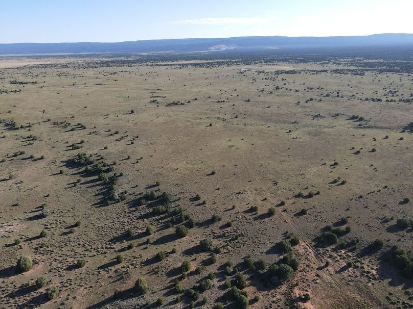 dji_fly_20240816_081028_527_1723817714216_photo