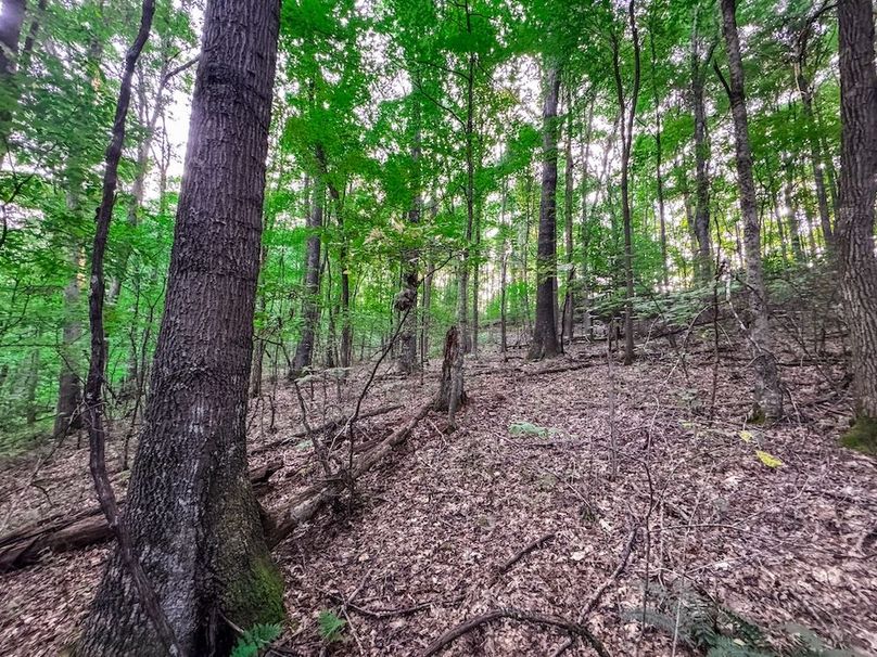 Webster, WV 42 AC Barger-30