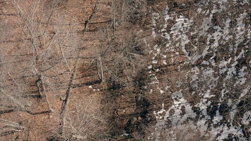 DJI_20260217121043_0107_D