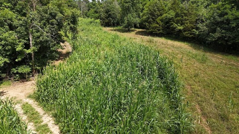 DJI_20250713151910_0559_D