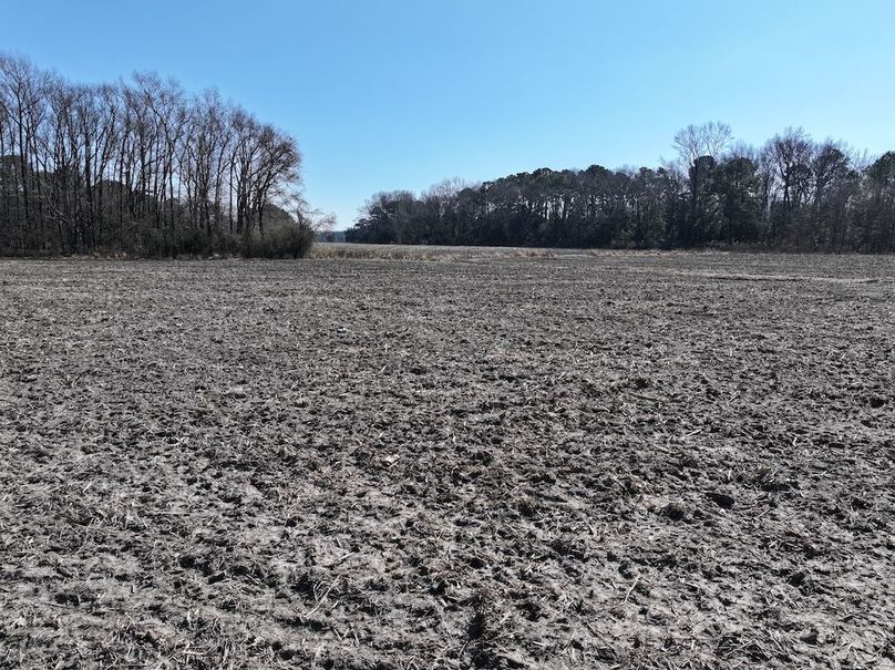 DJI_20260201121420_0414_D