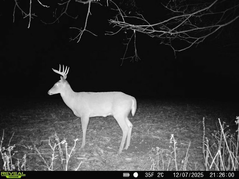 860516068095052-20-4-12072025212600-V-W1000135