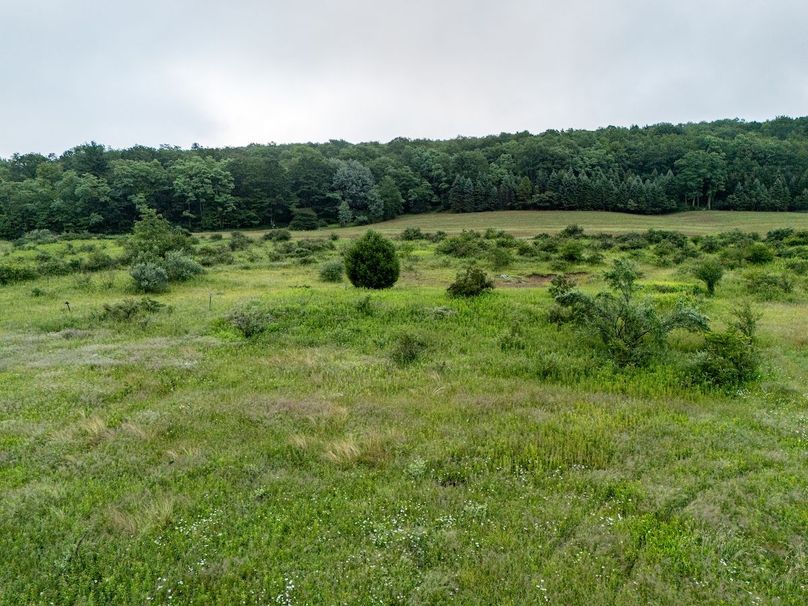 DJI_20250702041848_0009_D