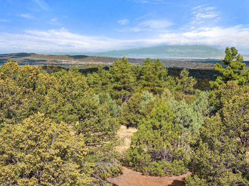 DJI_20250924103529_0067_D