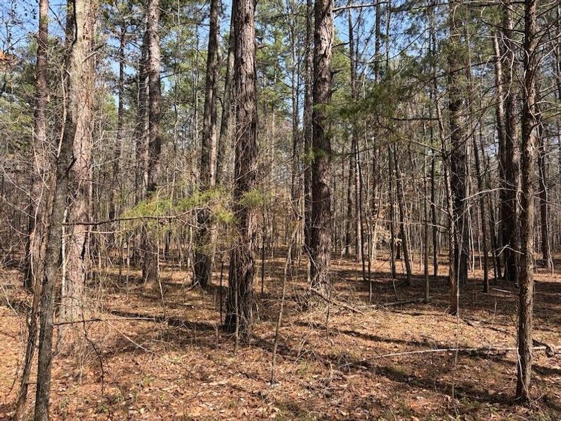 62F4DA64-1FE1-4589-A489-FF575D8364AB_1_105_c