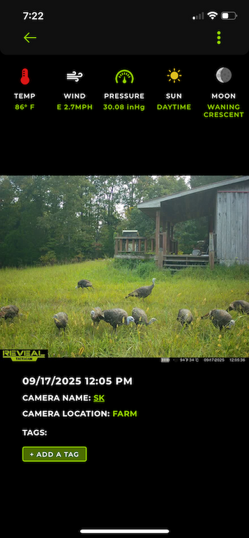 trailcam7