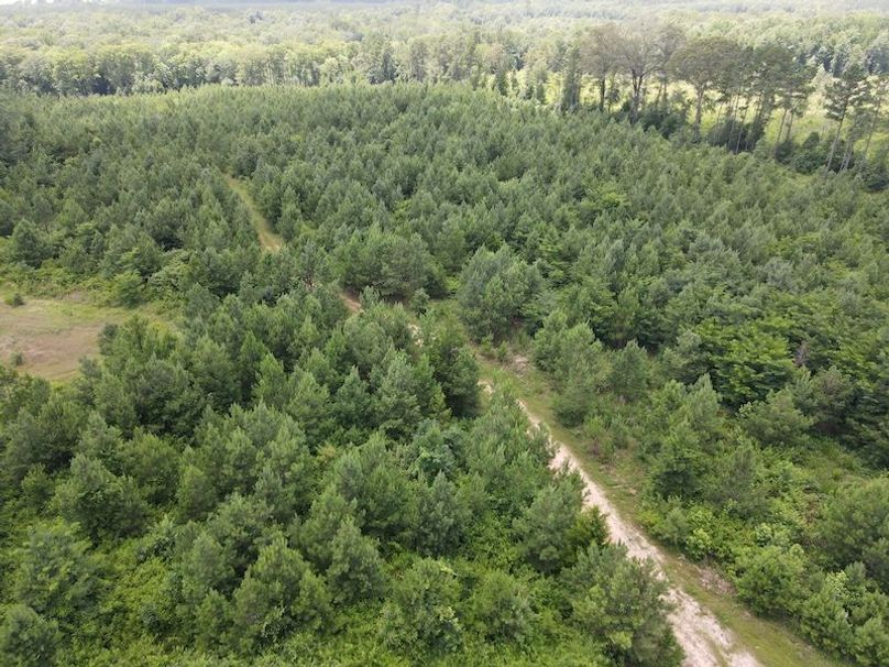 DJI_0361