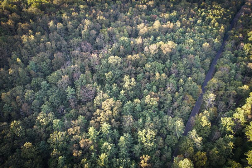 Tioga_20_Peters Photo 2