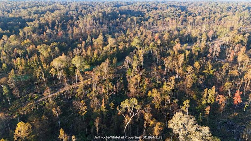 Claiborne Co-151-Geronimo-38