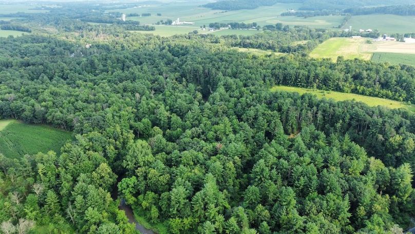 dji_fly_20240715_182208_689_1721085777983_photo_optimized