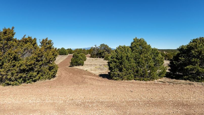 07 - Driveway