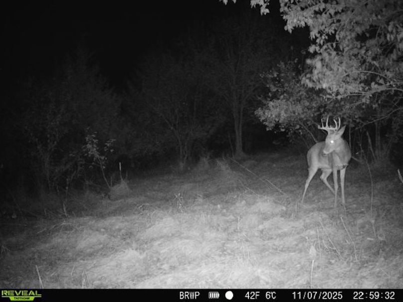 860322065924133-100-4-11072025225932-W1000681