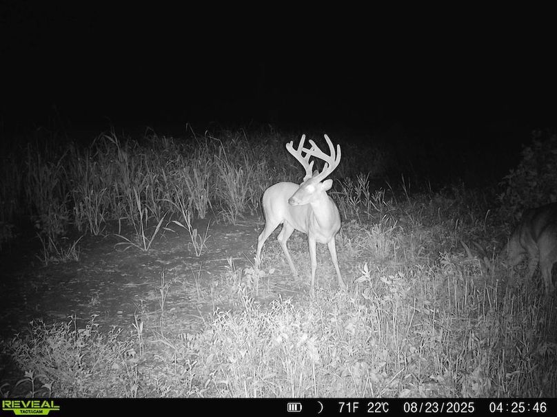Copy of Copy of Noxubee 222.1 Trail Cam-3
