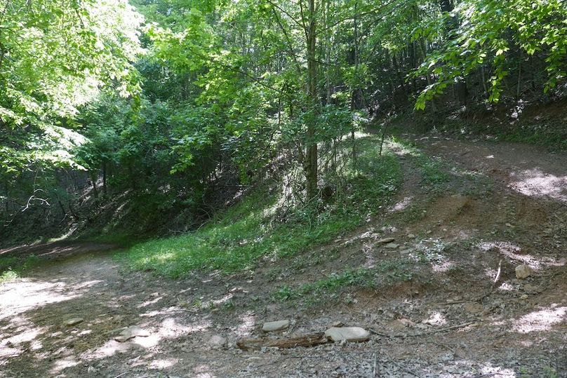 7b