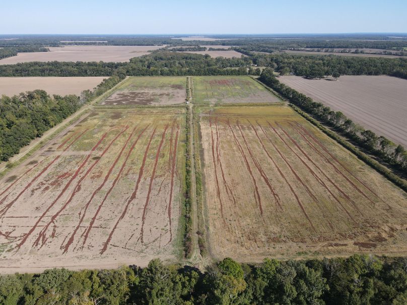 3AC2188D-49FD-4A6B-89C2-D30A27162042_1_102_o(1)