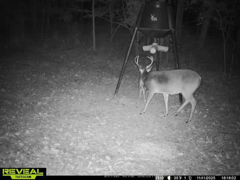 Holmes County - 108 - Rodriguez-85