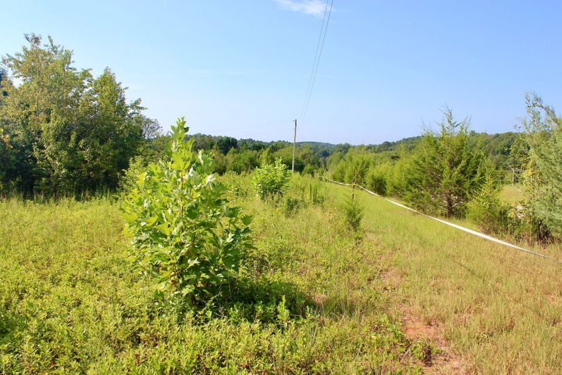 DC454AA2-4897-4B0C-BCDF-9AEC9C1598D7_1_201_a