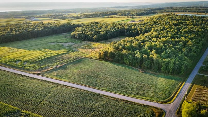 Copy of Wood Tract 4 Photo 1