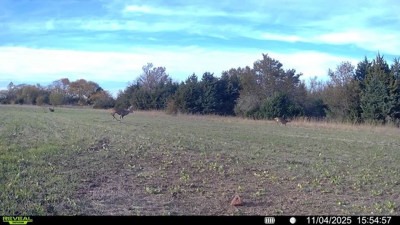 016578002025259-100-4-11042025155457-SYFW11719