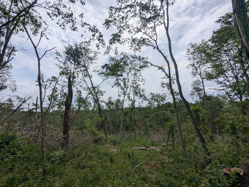 PXL_20240625_183009892