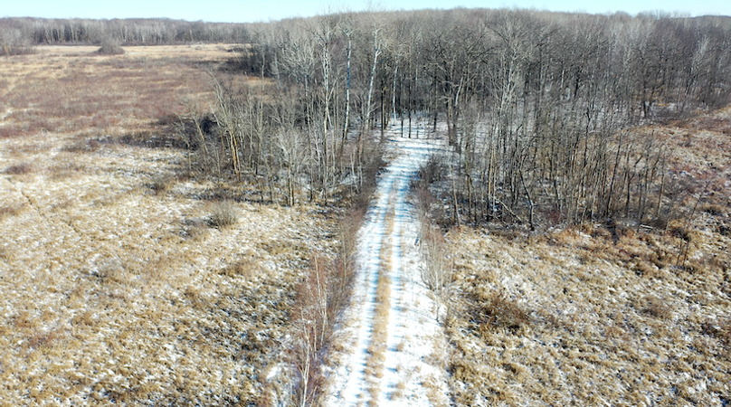 Screenshot 2024-02-12 at 9.47.15 AM