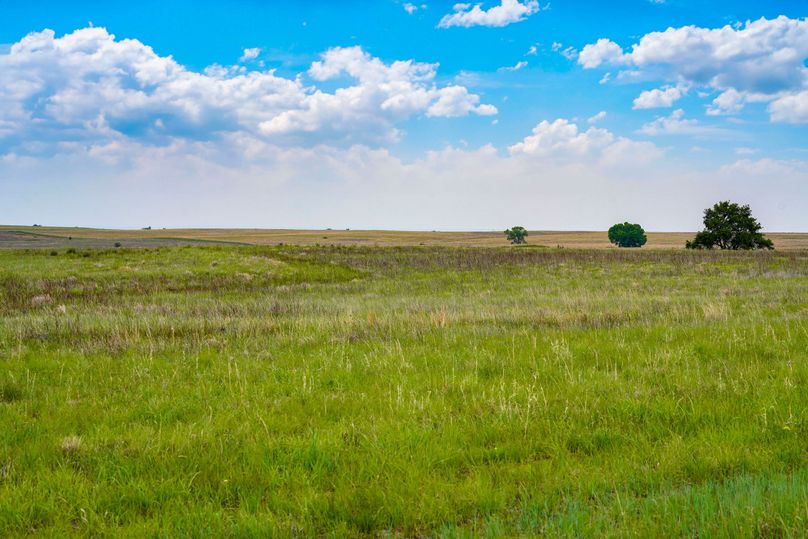 Comanche320_081 copy