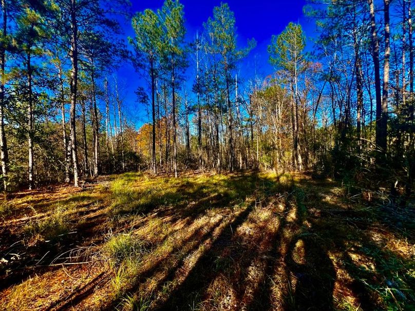 39A0CE3E-E64A-4B7F-9AD1-F10D408C9574_1_201_a