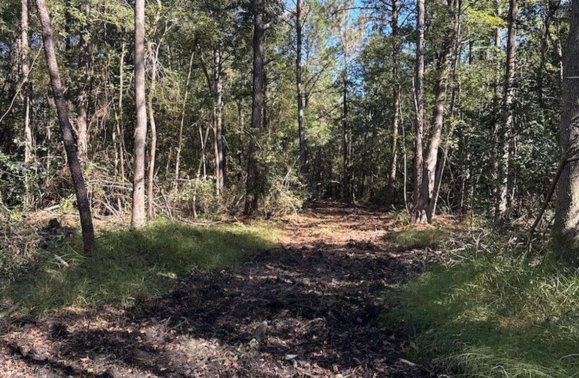 DJI_20251003_104529_802