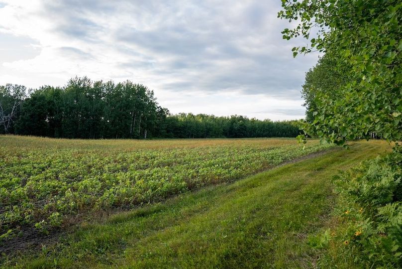 Cass MN 1095 Featured ProPhoto-11