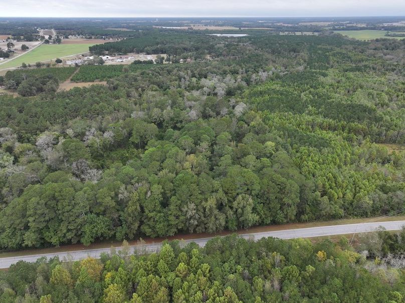 DJI_20251015091811_0142_D