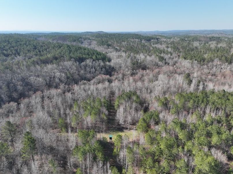 DJI_0942