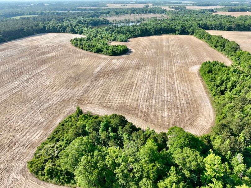 dji_fly_20260424_093932_547_1777039452861_photo