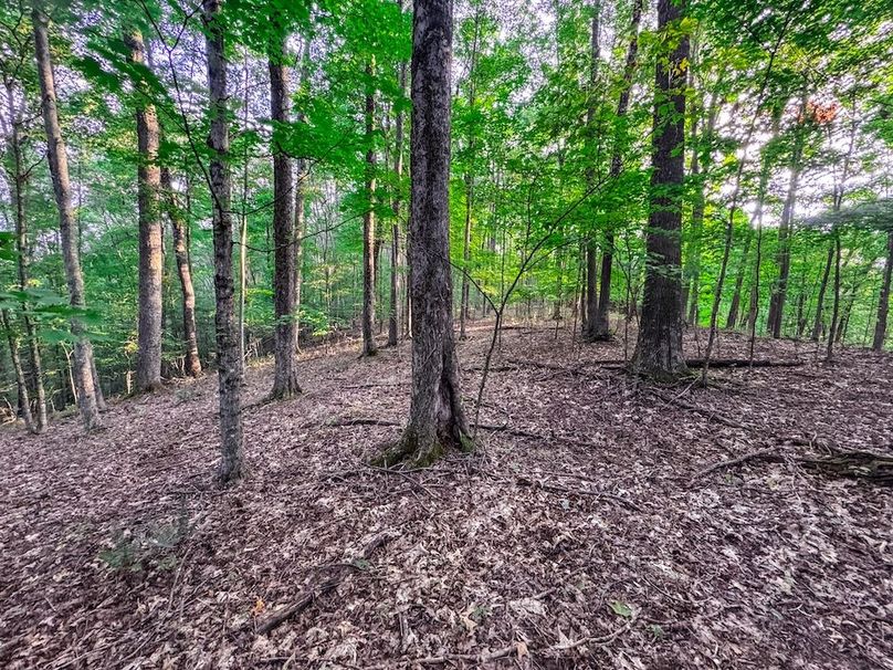 Webster, WV 42 AC Barger-34