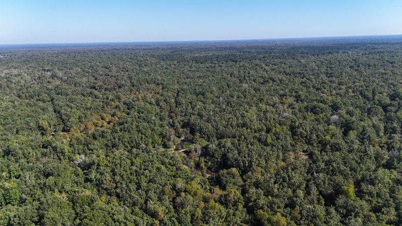 dji_fly_20251014_234200_0048_1760476900141_photo