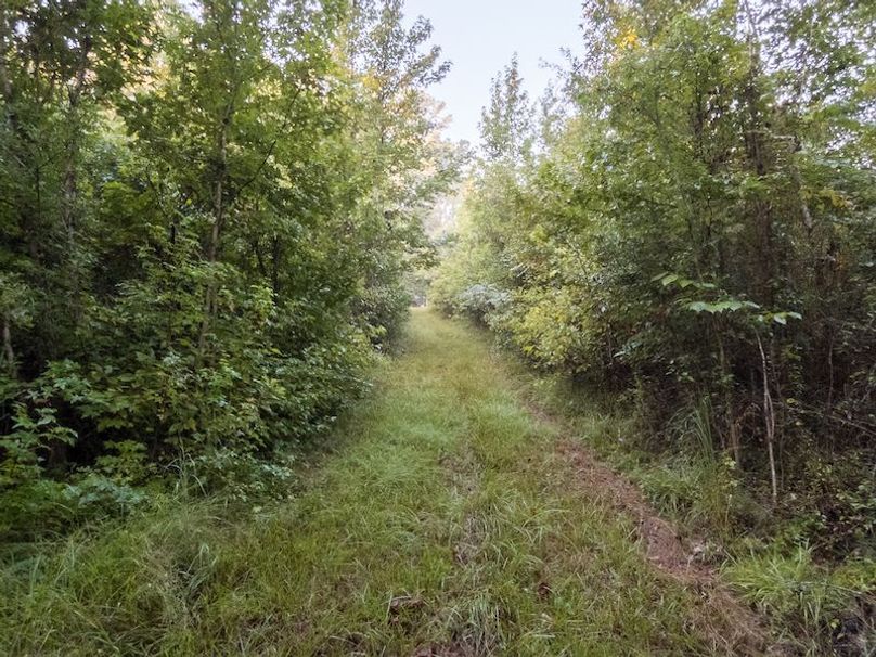 Madison Co - 40 - Clerk-20