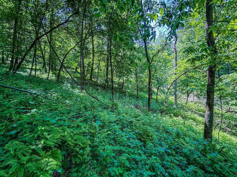 Houston 134.41 Updated Oct-35