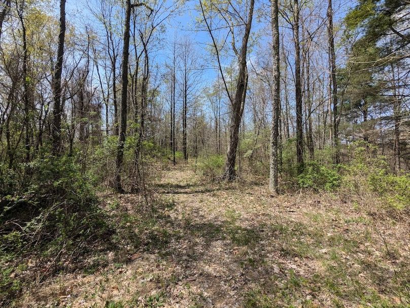 PXL_20250422_165519955