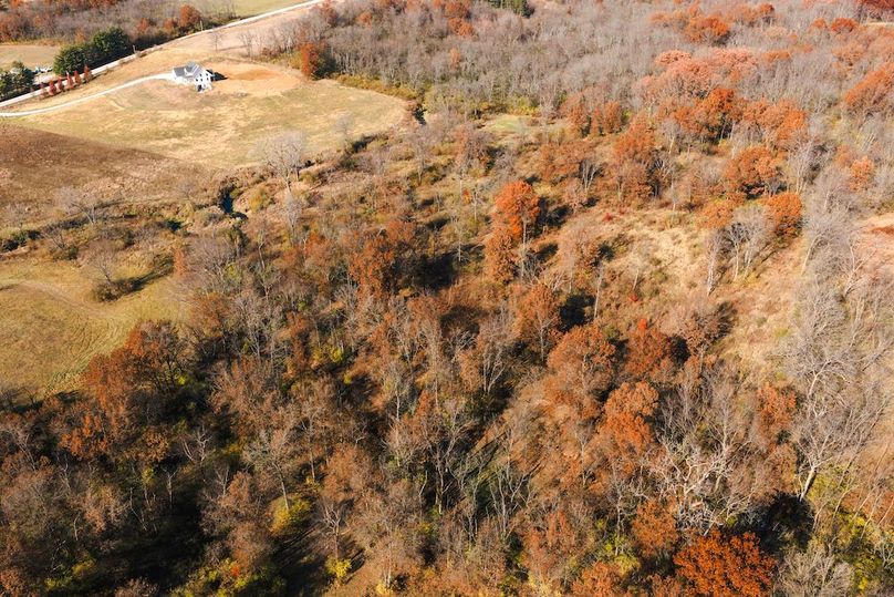 DJI_20251116124509_0168_D