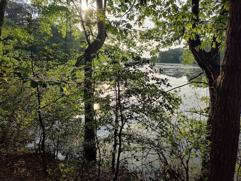 IMG_20260424_182435869_HDR