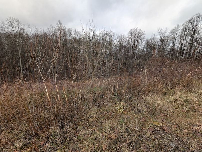 PXL_20260107_182117773