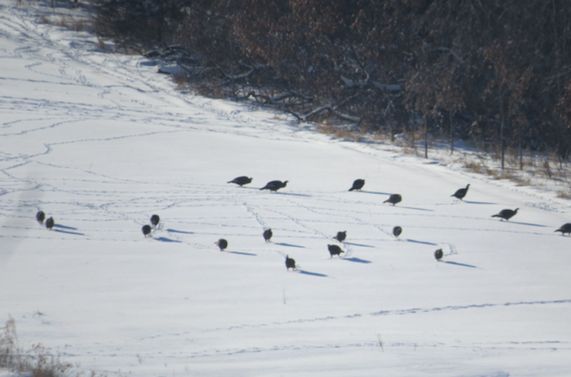 Screenshot 2024-09-04 at 2.31.44 PM