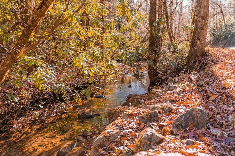 Beautiful Mountain Stream along E Millers Cove Road 